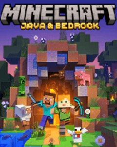 Minecraft Java Bedrock